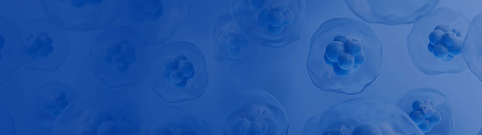 GUeasyCHO-K1 Stable Cell Line Development
Service